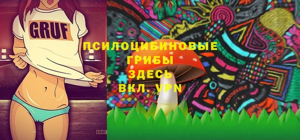 сатива Армянск